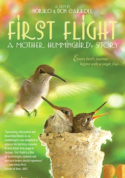 First Flight: A Mother Hummingbird's Story Video 1